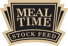 Meal Time